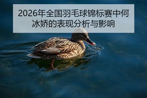 2026年全国羽毛球锦标赛中何冰娇的表现分析与影响