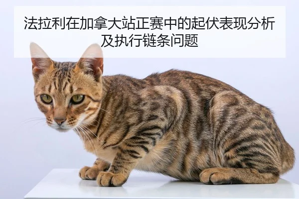 fa-la-li-zai-jia-na-da-zhan-zheng-sai-zhong-de-qi-fu-biao-xian-fen-xi-ji-zhi-xing-lian-tiao-wen-ti-2-294.jpg