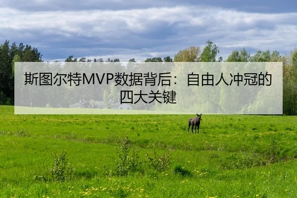 斯图尔特MVP数据背后：自由人冲冠的四大关键