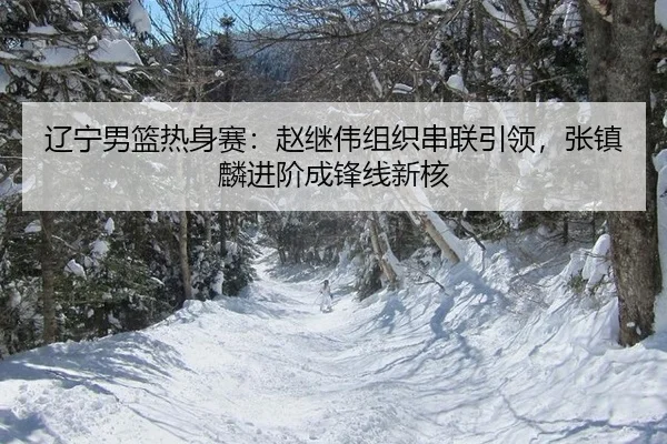 辽宁男篮热身赛：赵继伟组织串联引领，张镇麟进阶成锋线新核